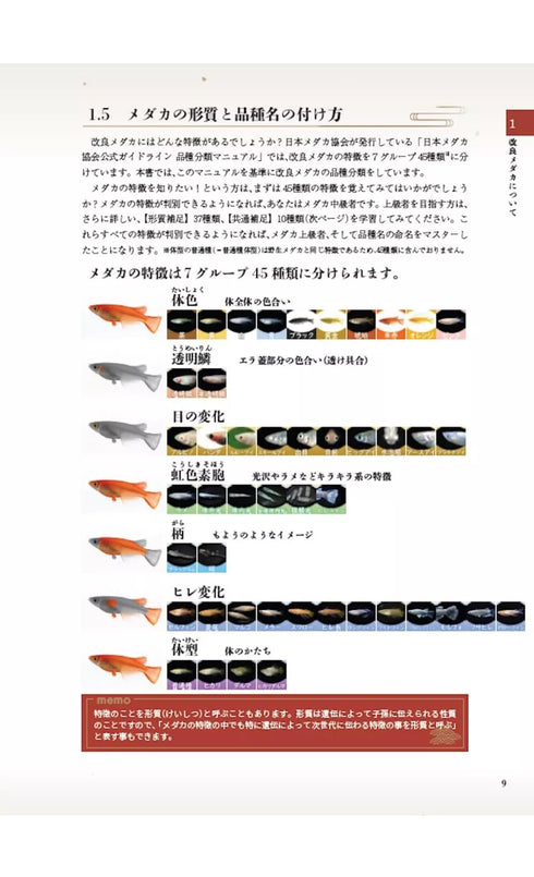 Medaka varieties Medaka Collection 2024 Japanese Rice Fish Catalog Magazine