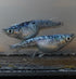 Ryokkou Hyakusiki 30eggs