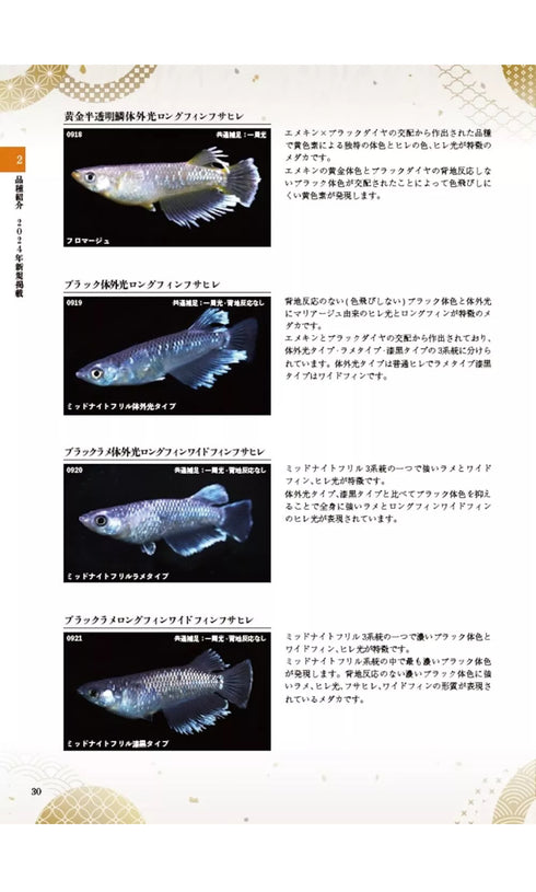 Medaka varieties Medaka Collection 2024 Japanese Rice Fish Catalog Magazine