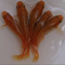 Koutei lame long fin 30eggs
