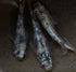 White tiger Daiya earth eye 30eggs (rare breed)