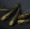 Metal alien (rare species) 20eggs