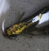 Metal alien (rare species) 20eggs