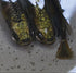 Metal alien (rare species) 20eggs